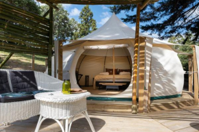 Kerikeri Glamping, Kerikeri